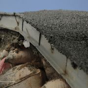 Kooshk research pavilion in Iran Student research workshop Construction Photos  19 