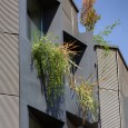 Shimigiah Residential Apartment Double Side Shiraz Ashari Architects  12 