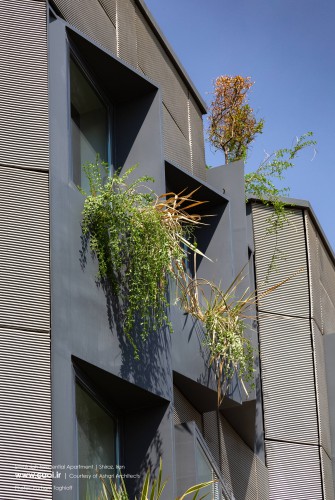 Shimigiah Residential Apartment Double Side Shiraz Ashari Architects  12 