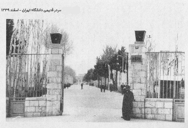 Main Entrance of Tehran University of Iran by Kourosh Farzami 9
