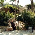 Ferdowsi Garden extension of Jamshidiye stone park in Tehran  18 