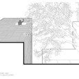 A house between two Walnuts KAV Architects