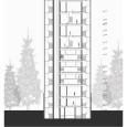 Sections Miyan Residential Building Pi Architects  2 