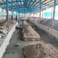 Under Construction Sanandaj Renovation Center  5 